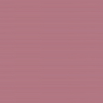 Camellia Rose NKR-52