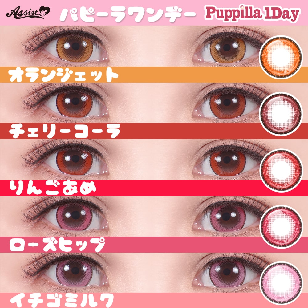 Puppilla 1Day comparison