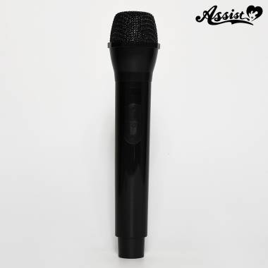 Fake Microphone Type 1