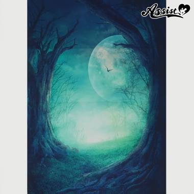 ★ Limited time sale ★ Background cloth 78 Night Forest Type 3