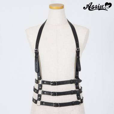 Harness type 1