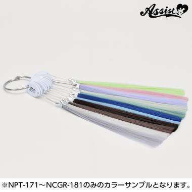 Premium New Color Sample, All 11 Colors, January 2024 Edition