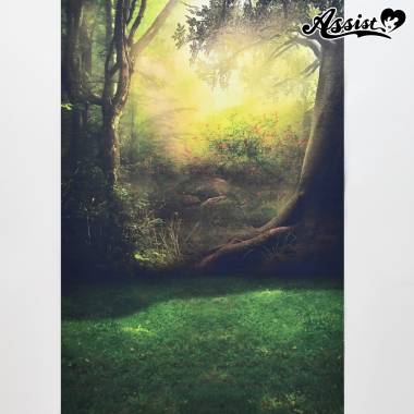 ★ Limited time sale ★ Background cloth 63 Forest