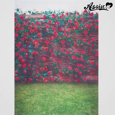 ★ Limited time sale ★ Background cloth 53 Rose garden type 1