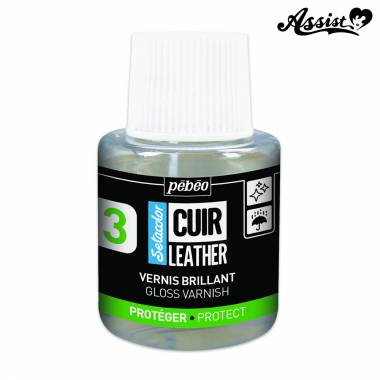 Seta Color Leather (for Leather) 110ml Gloss Varnish