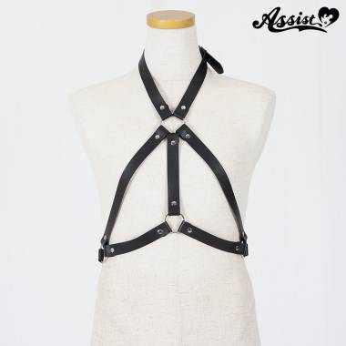 Harness type 2