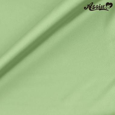 Assist Satin Fabric 125cm Wide X 50cm Green　No.62