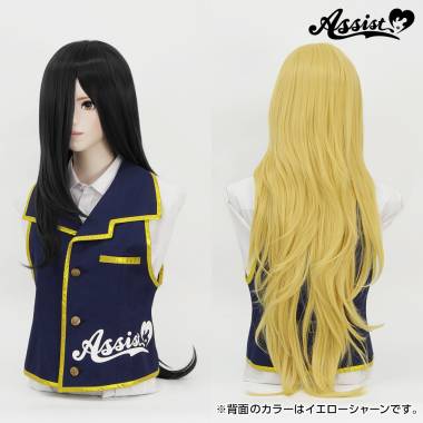 Styleable Wig Long　Smoke Black NSBK-106