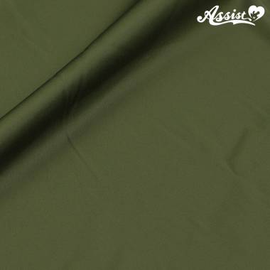 Assist Satin Fabric 125cm Wide X 50cm Green　No.65