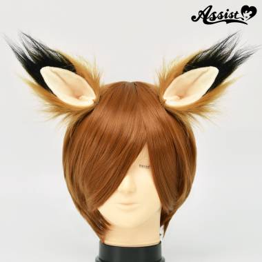 Animal Ears 2 Pieces Type 2　Black x Light brown