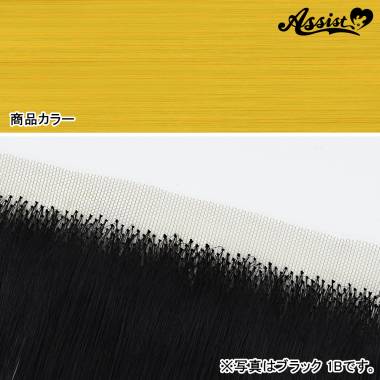 Lace Front Piece　Sunshine NPSS-78