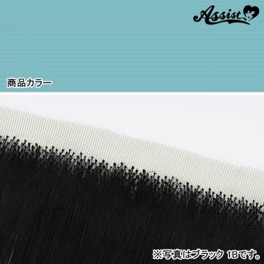 Lace Front Piece　Bluegrass NBLG-143