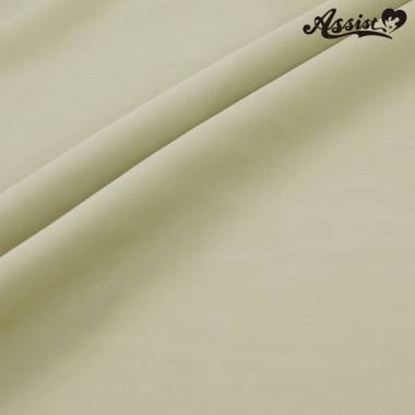 Polyester Twill 150cm Wide X 50cm Monotone　No.4