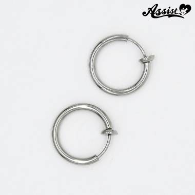 Fake earrings　Silver