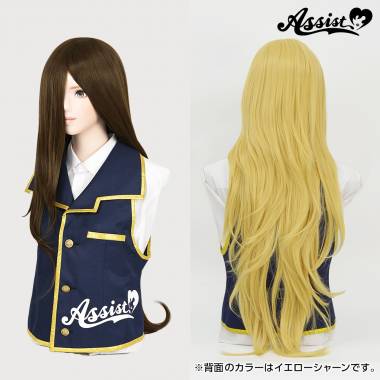 Styleable Wig Long　Brown 8