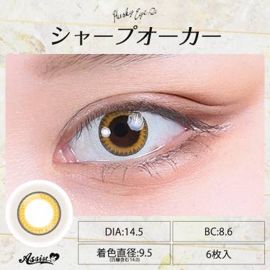 Husky Eye:Re 1Day　Sharp Ocher