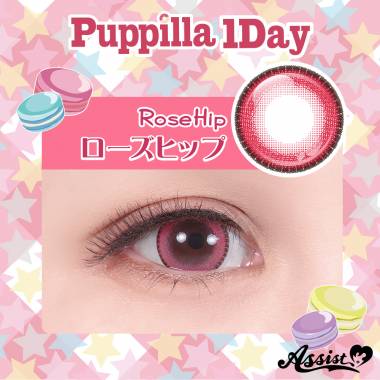 Assist ChouChou Puppilla 1Day　Rose Hip