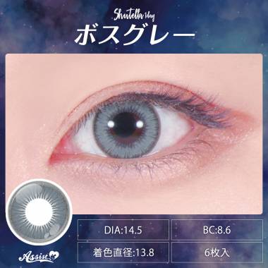 Assist ChouChou Shutella 1Day　Boss Gray