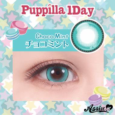 Assist ChouChou Puppilla 1Day　Choco Mint