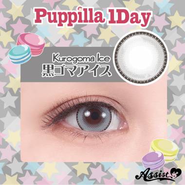 Assist ChouChou Puppilla 1Day　Kurogoma Ice