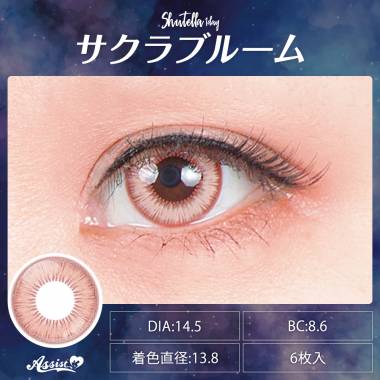 Assist ChouChou Shutella 1Day　Sakura Broom